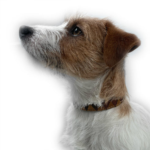 Sharktooth Dog Collar Leather - Latte